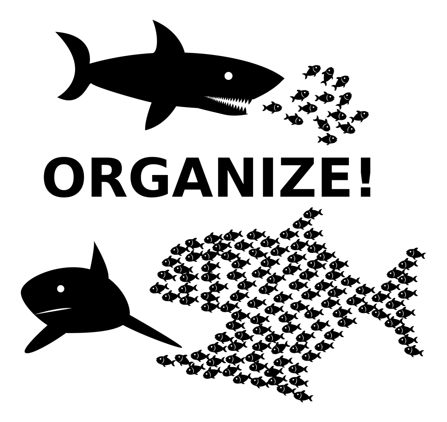 In the top image, a shark chases scattered fish. In the bottom image, organized fish chase a shark.